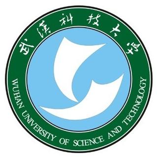 武汉科技大学